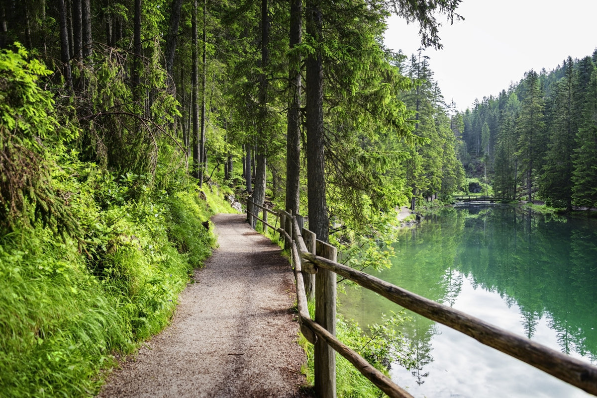 Emerald Lake Trail Wall Mural in your room — zoomed