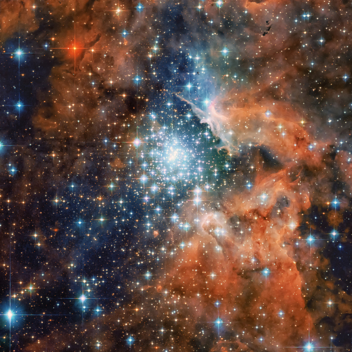 Starlight Vista Wall Mural in your room — zoomed