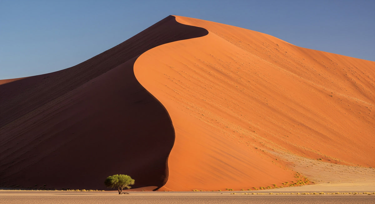 Desert Serenity Wall Mural in your room — zoomed