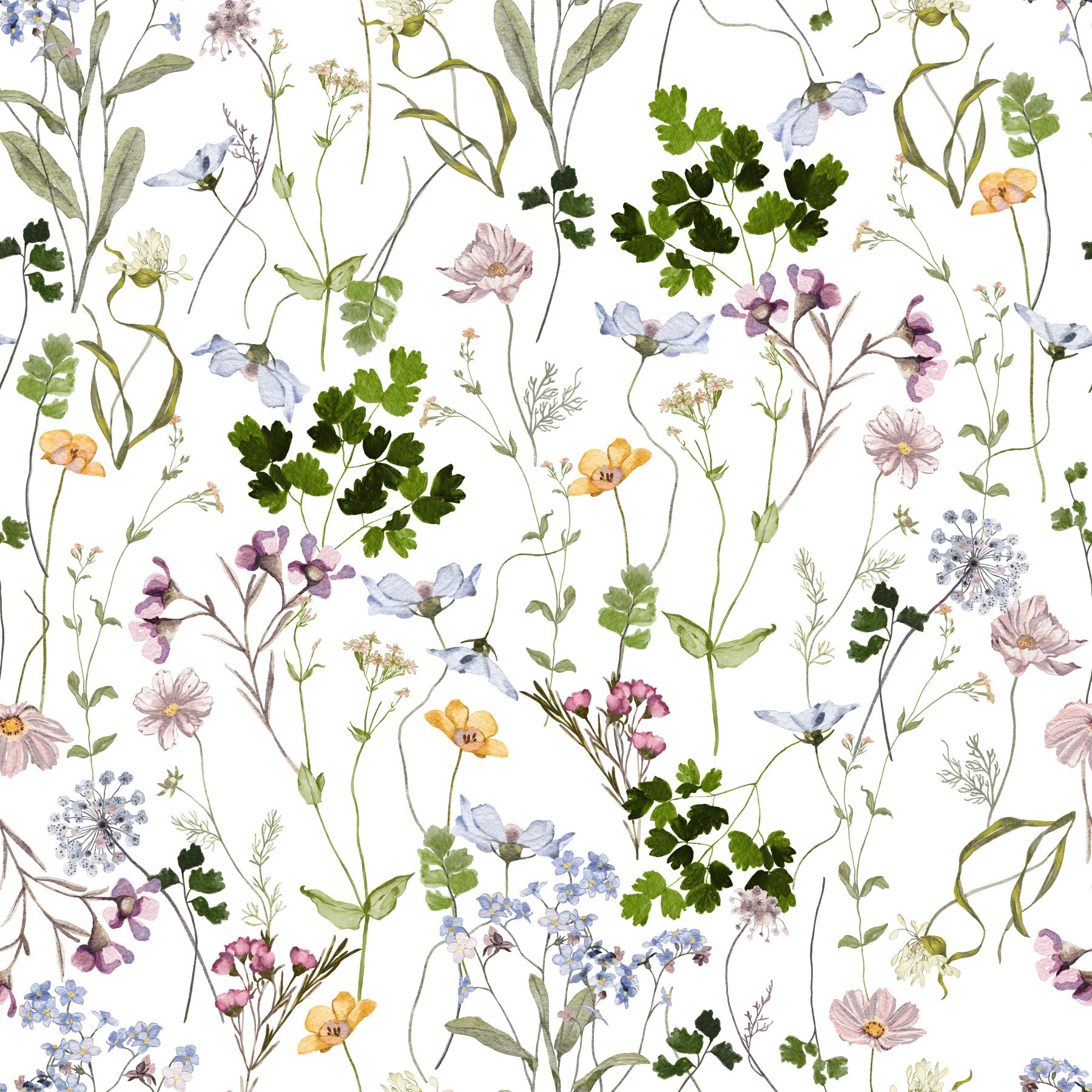 Wildflower Early Summer Meadow Wallpaper⁠