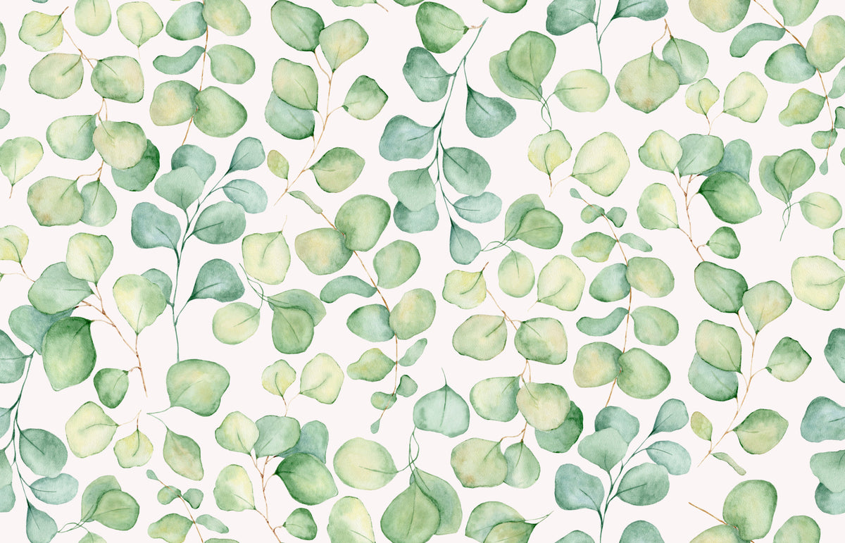 Eucalyptus Dream Garden Wallpaper⁠ in your room