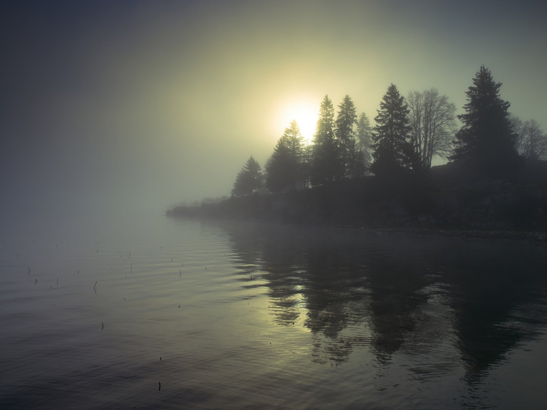 Misty Dawn Wall Mural in your room — zoomed