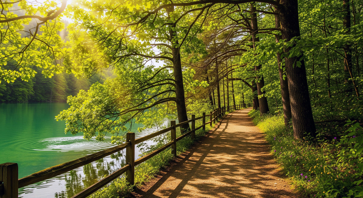 Lake Path Serenity Wall Mural in your room — zoomed