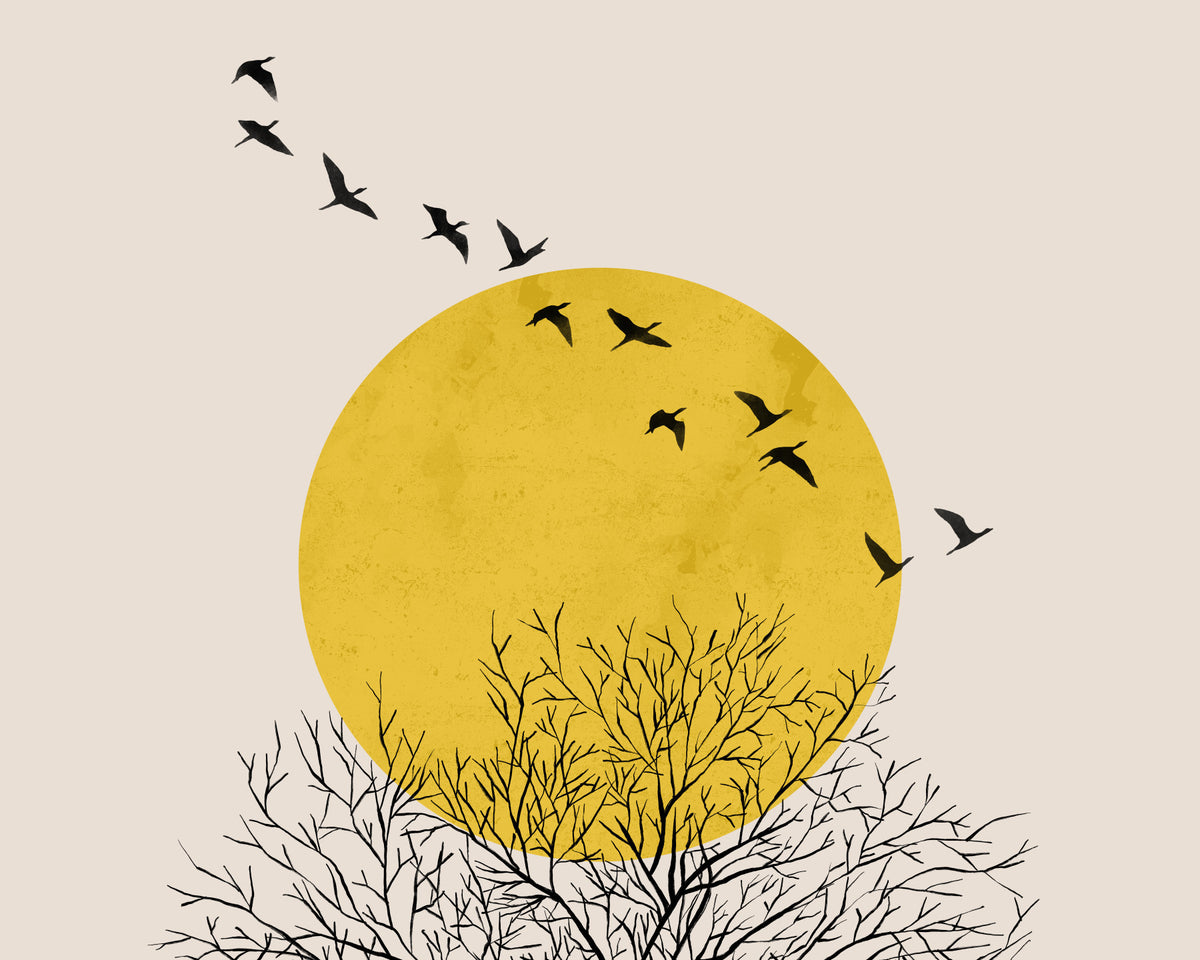 Birds at Sunrise Wall Mural in your room