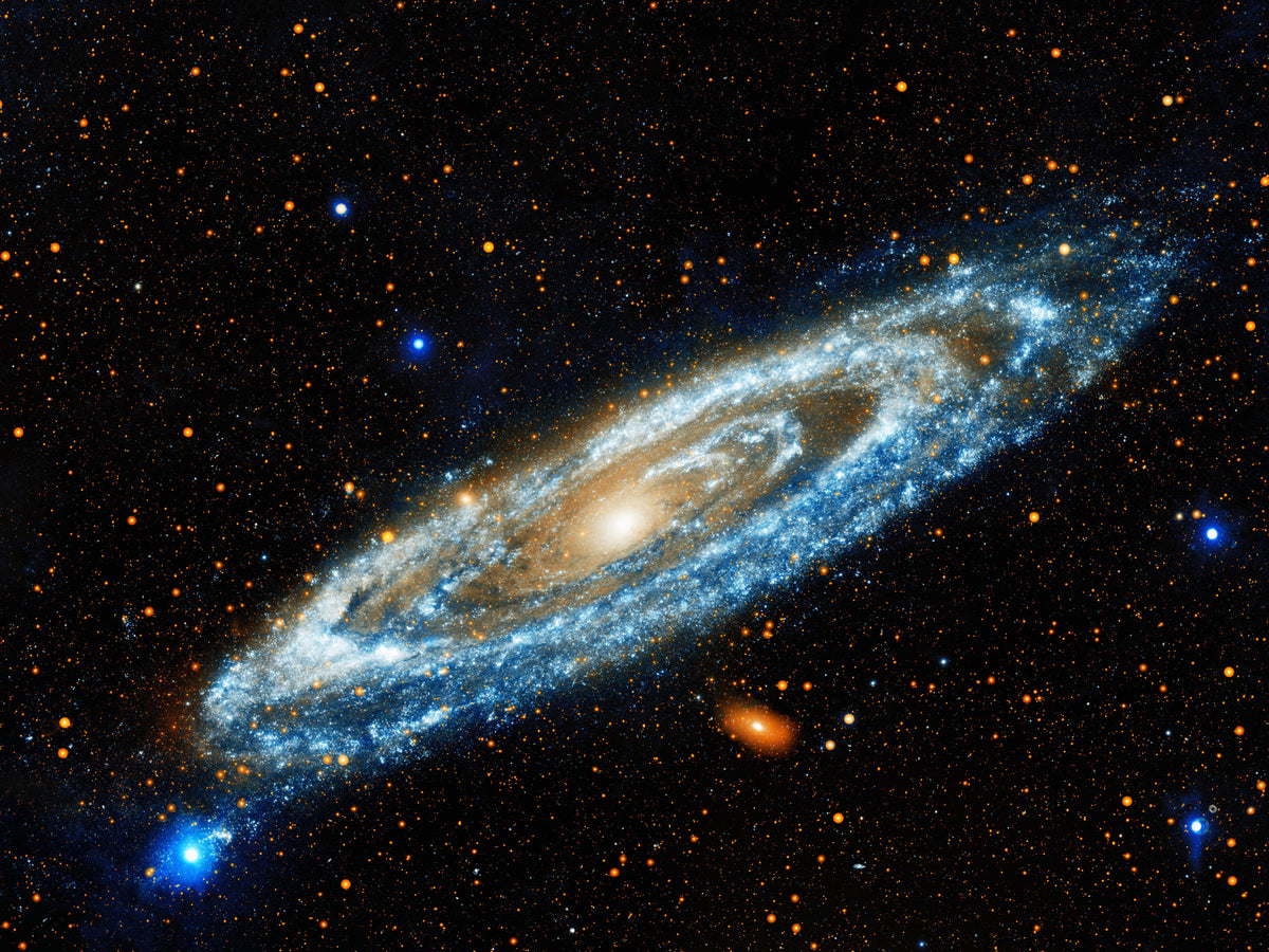 Andromeda Wall Mural