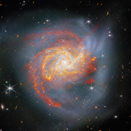 Stellar Canvas Wall Mural