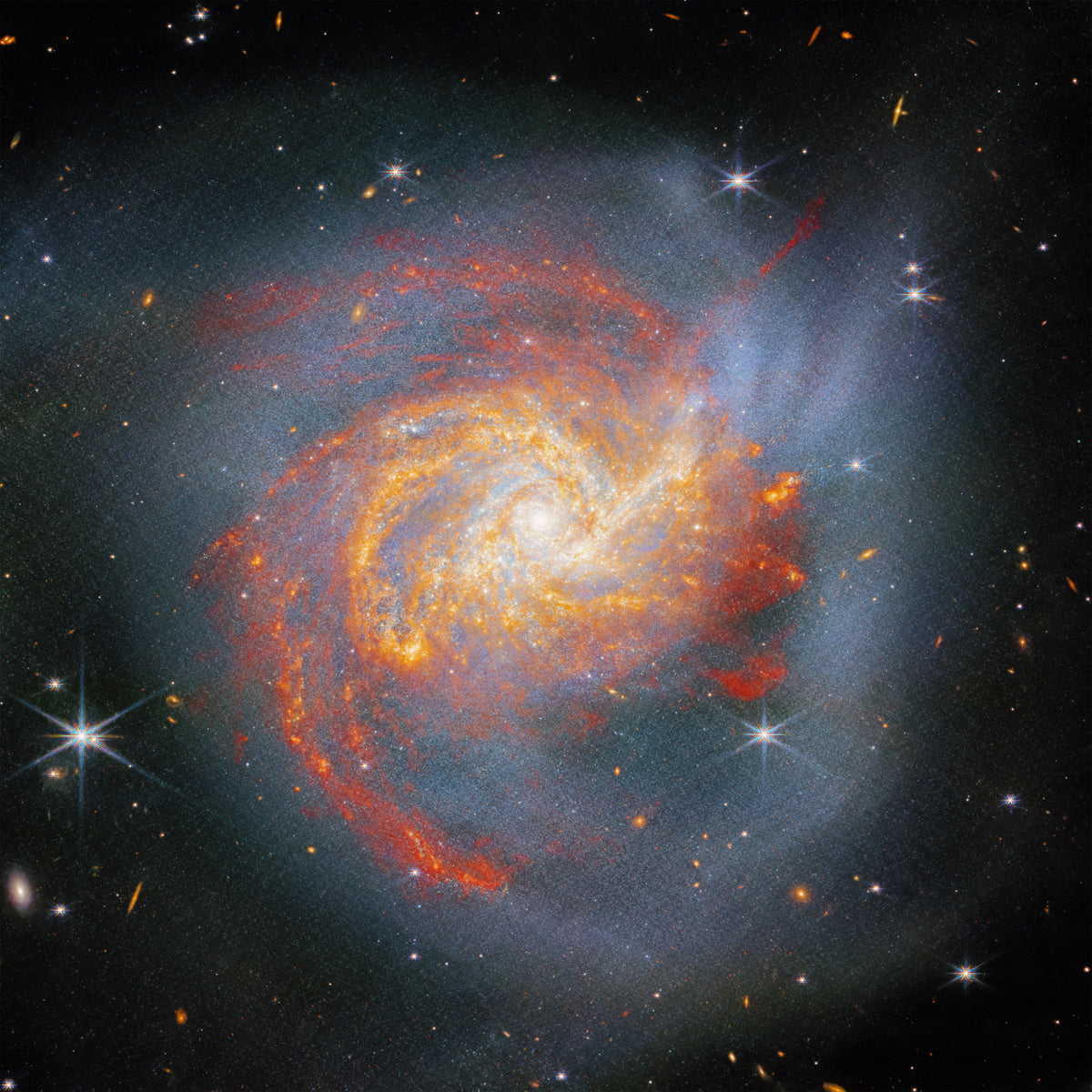 Stellar Canvas Wall Mural in your room — zoomed