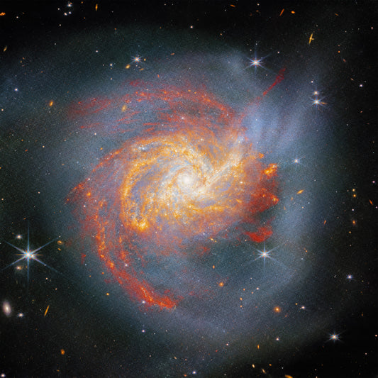 Stellar Canvas Wall Mural