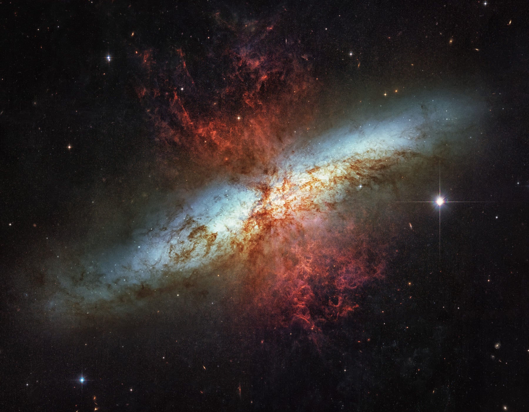 Stardust Symphony Wall Mural