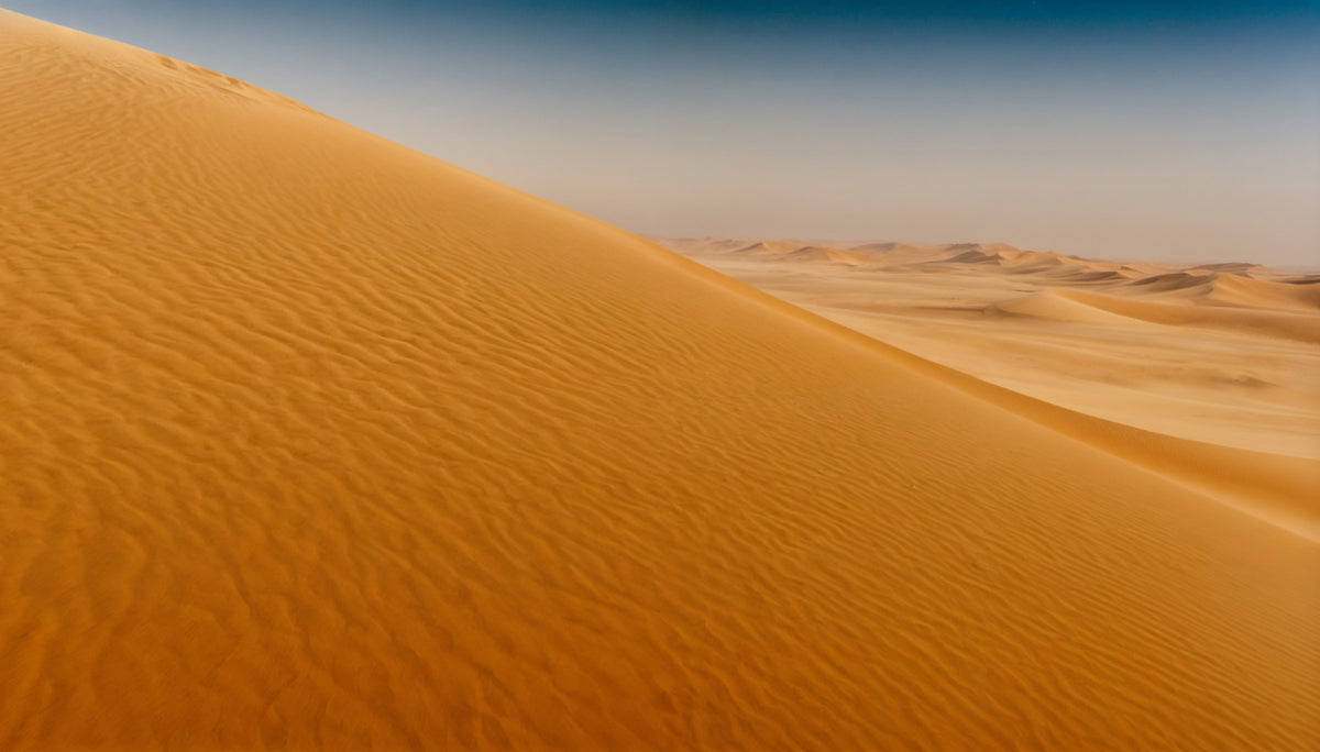 Desert Dune Dreams Wall Mural in your room
