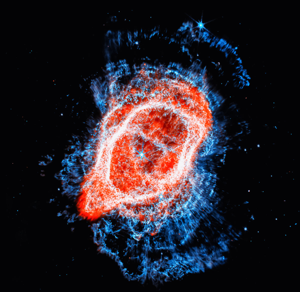 Cosmic Bloom Wall Mural in your room