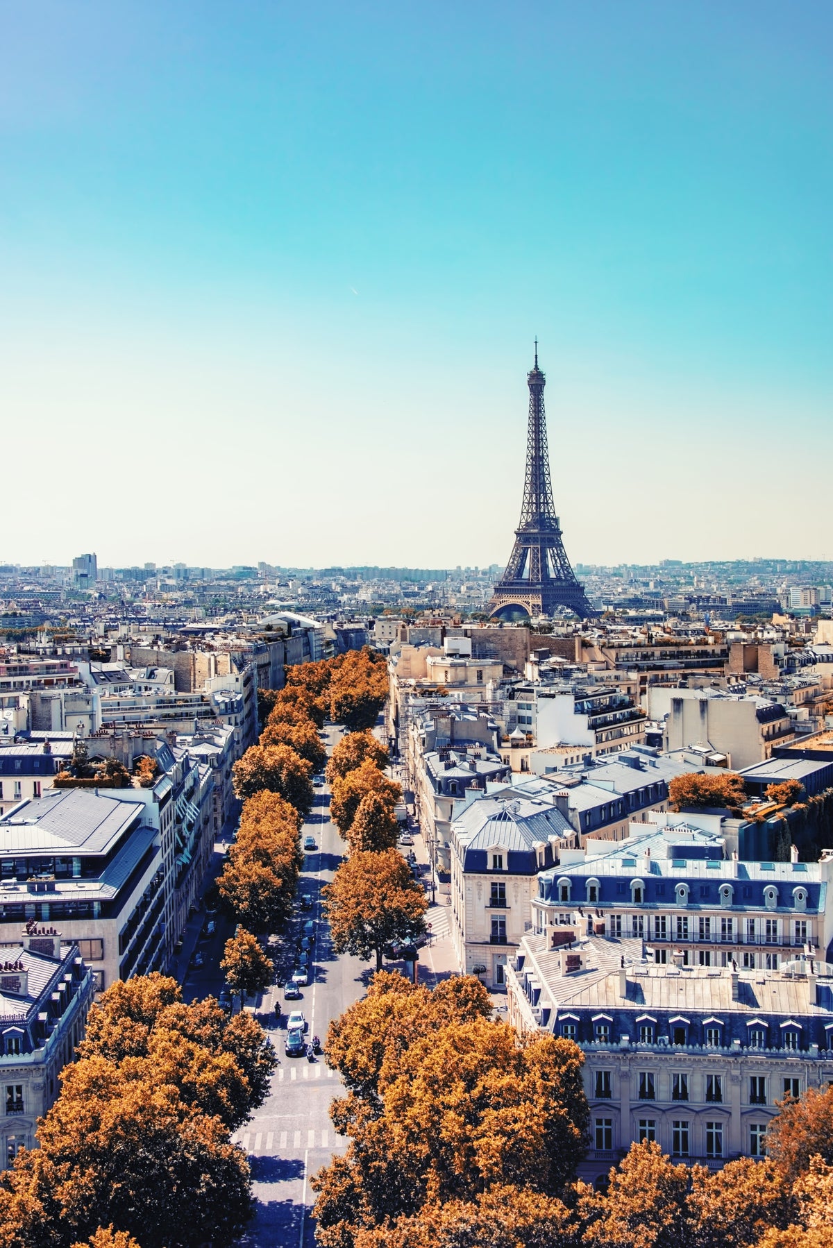 Fall in Paris Wall Mural in your room — zoomed