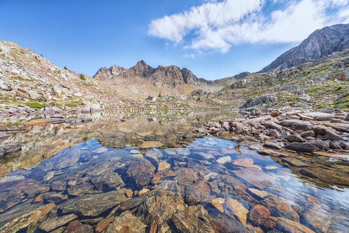Alpine Serenity Wall Mural