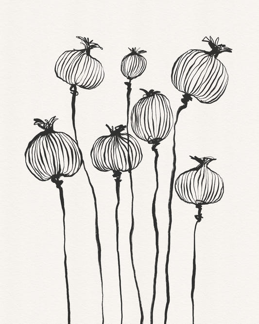 Ink Poppy Pods Wall Mural
