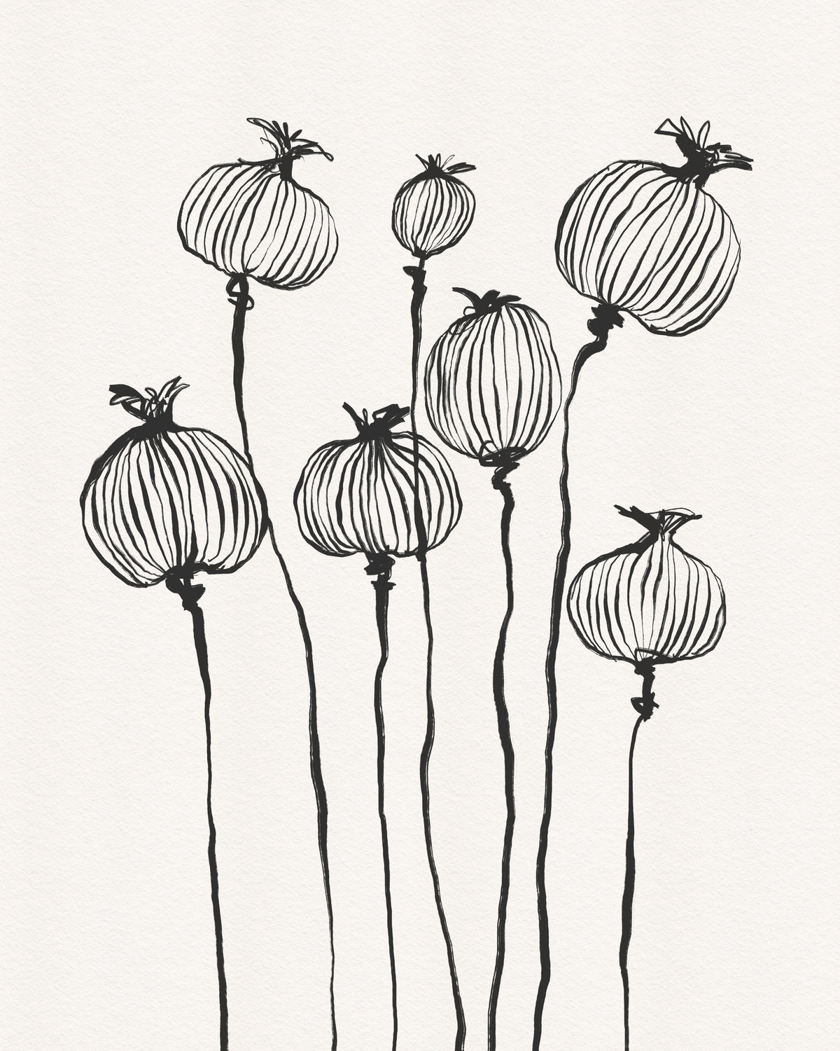 Ink Poppy Pods Wall Mural in your room