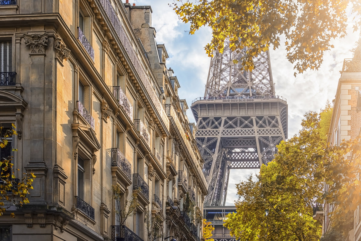 Eiffel's Golden Hour Wall Mural in your room — zoomed