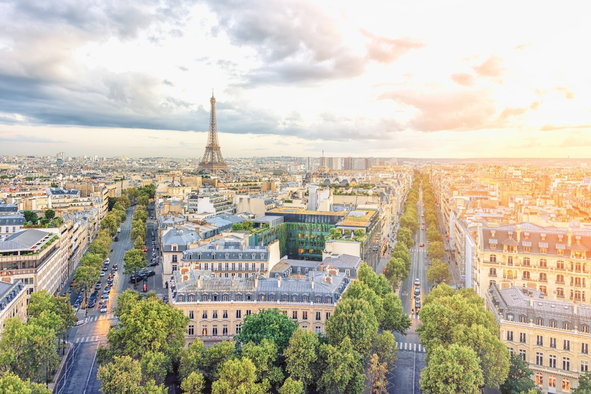 Eiffel's Dawn Wall Mural in your room