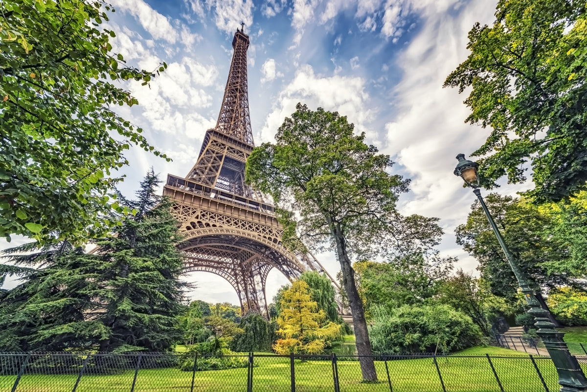 Eiffel Tower Greens Wall Mural in your room — zoomed