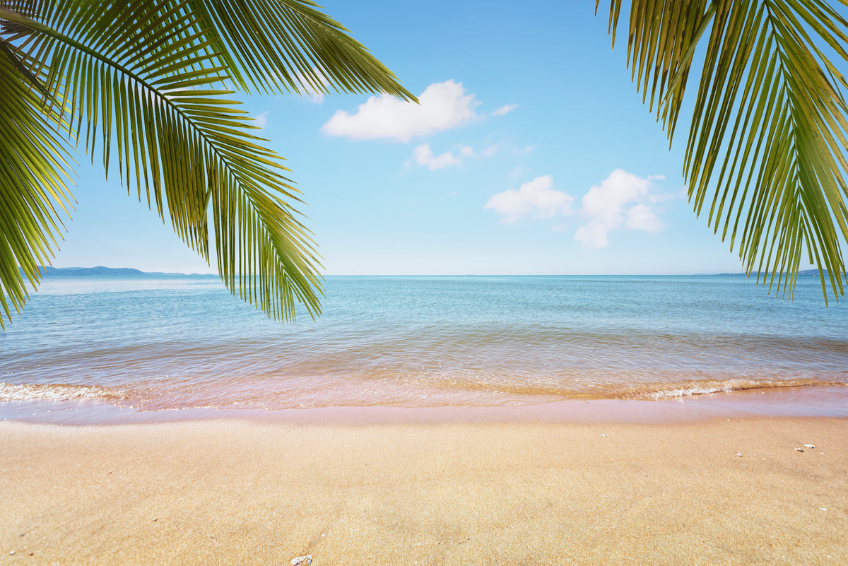 Tropical Shore Wall Mural in your room — zoomed