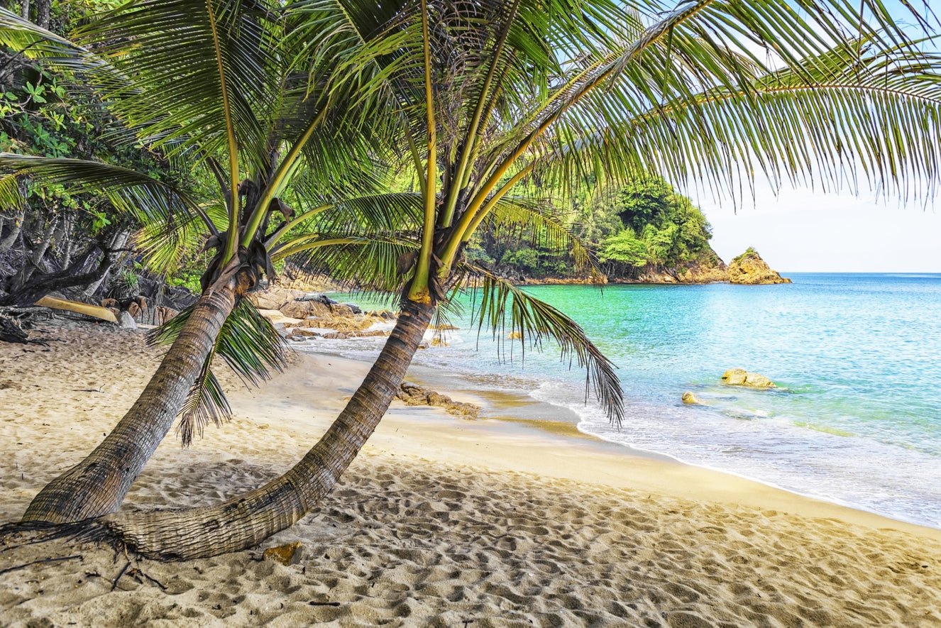 Tropical Beach Escape Wall Mural