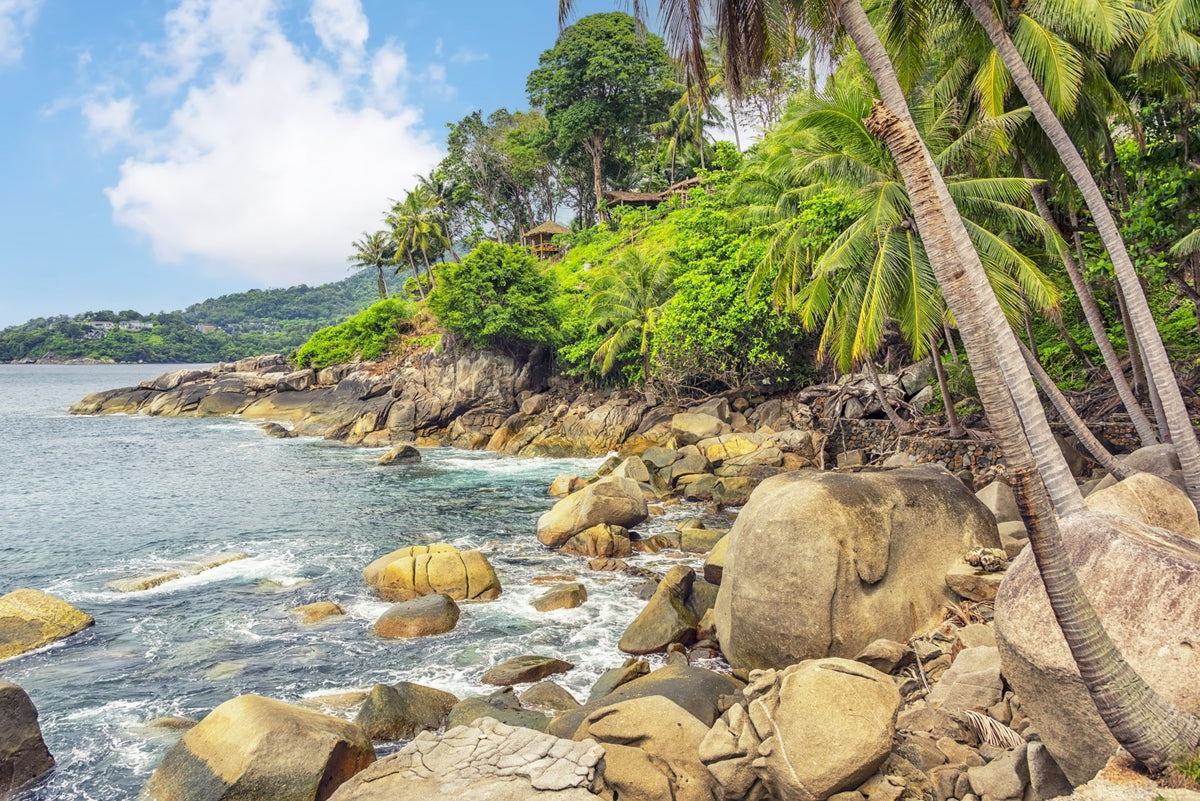 Tropical Shores Wall Mural in your room — zoomed