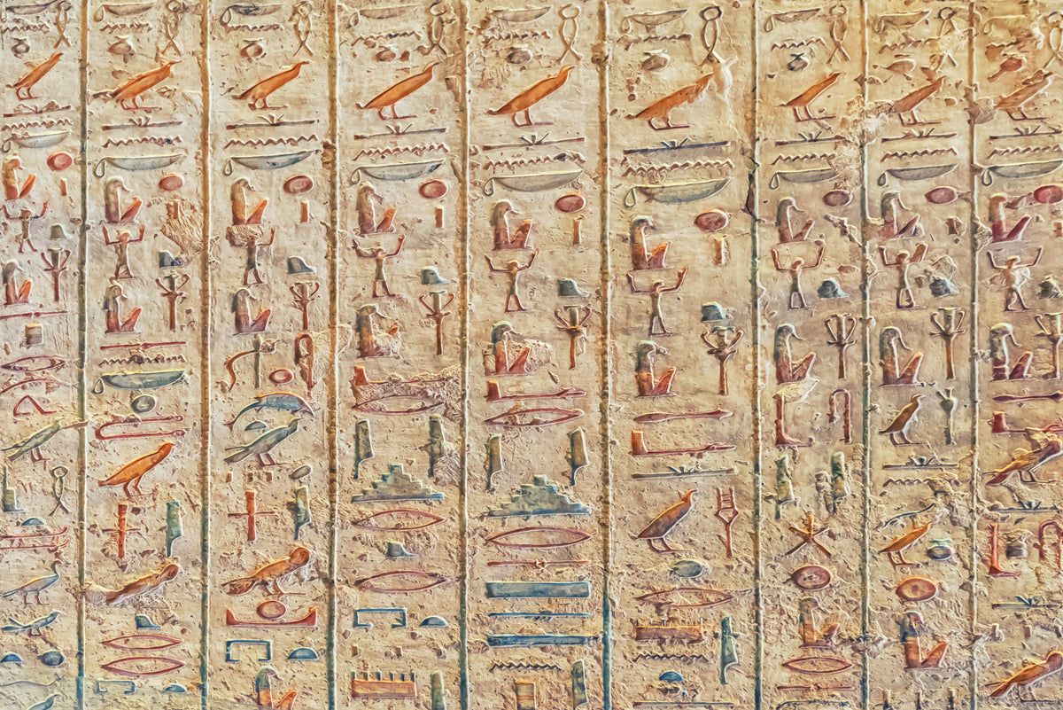 Ancient Glyphs Wall Mural in your room — zoomed