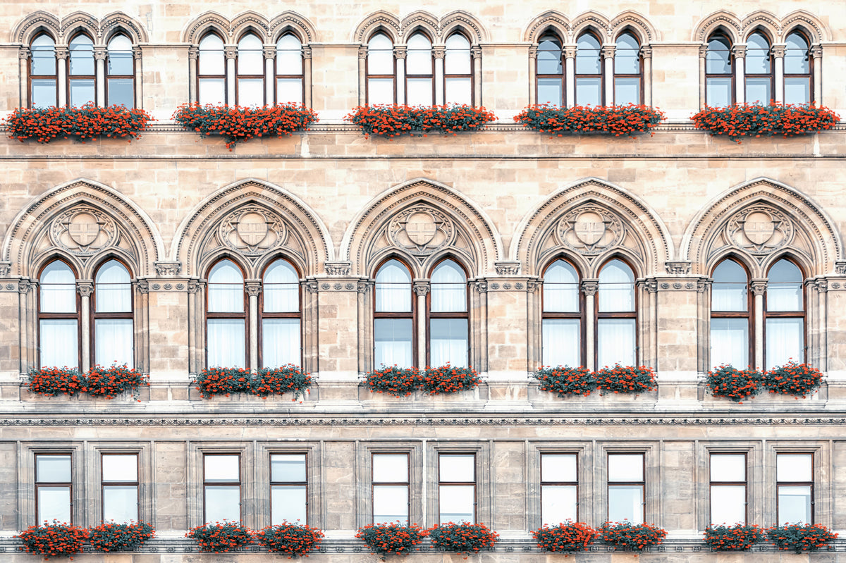 Vienna Facade Wall Mural in your room — zoomed