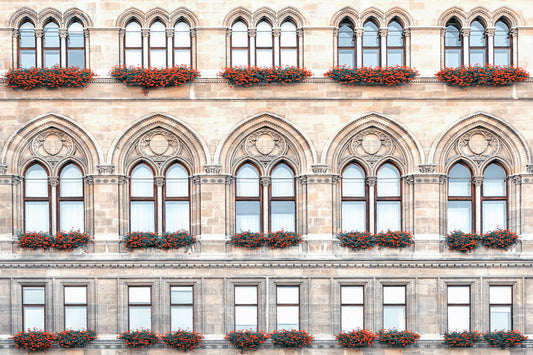 Vienna Facade Wall Mural