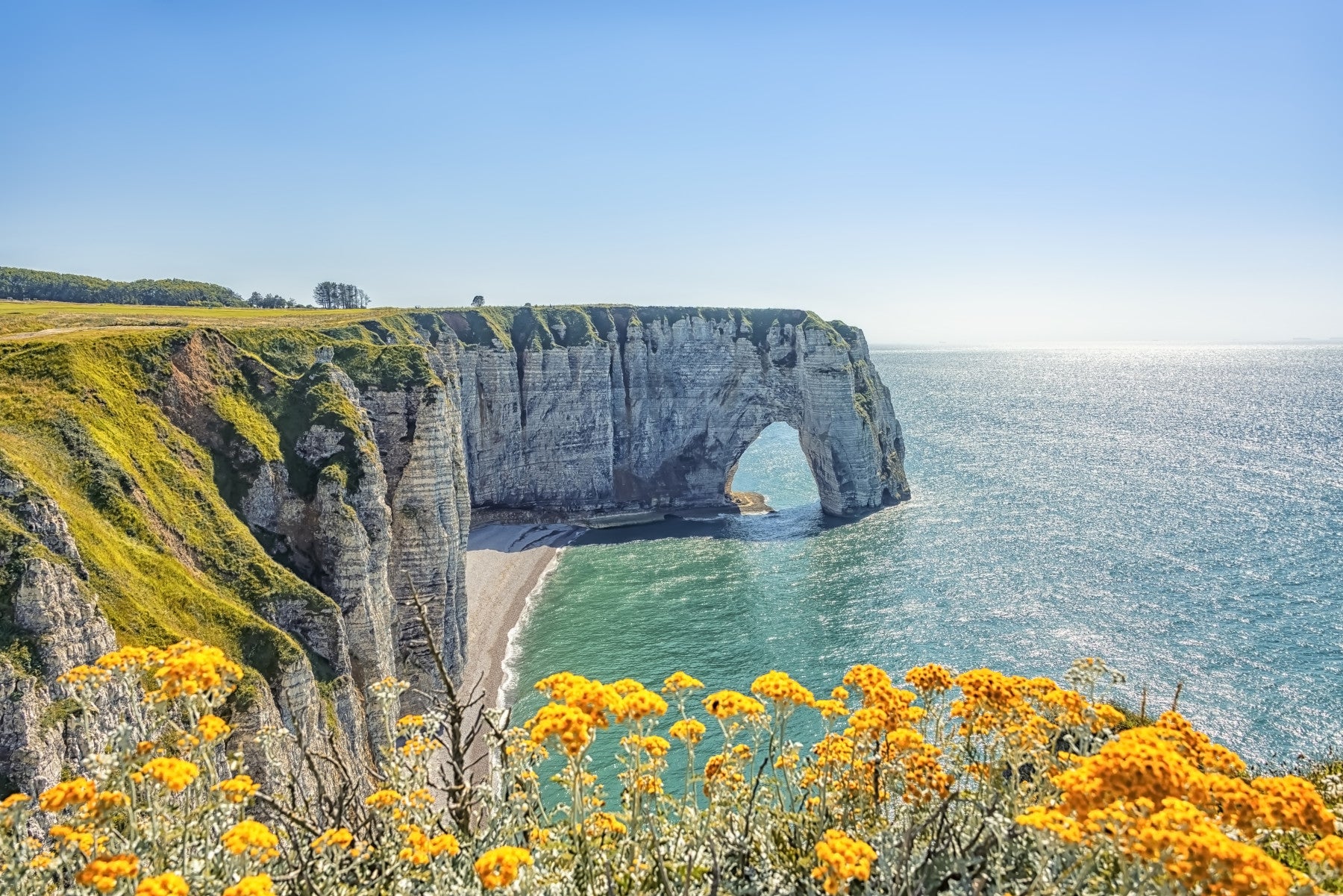 Etretat's Yellow Bloom Wall Mural