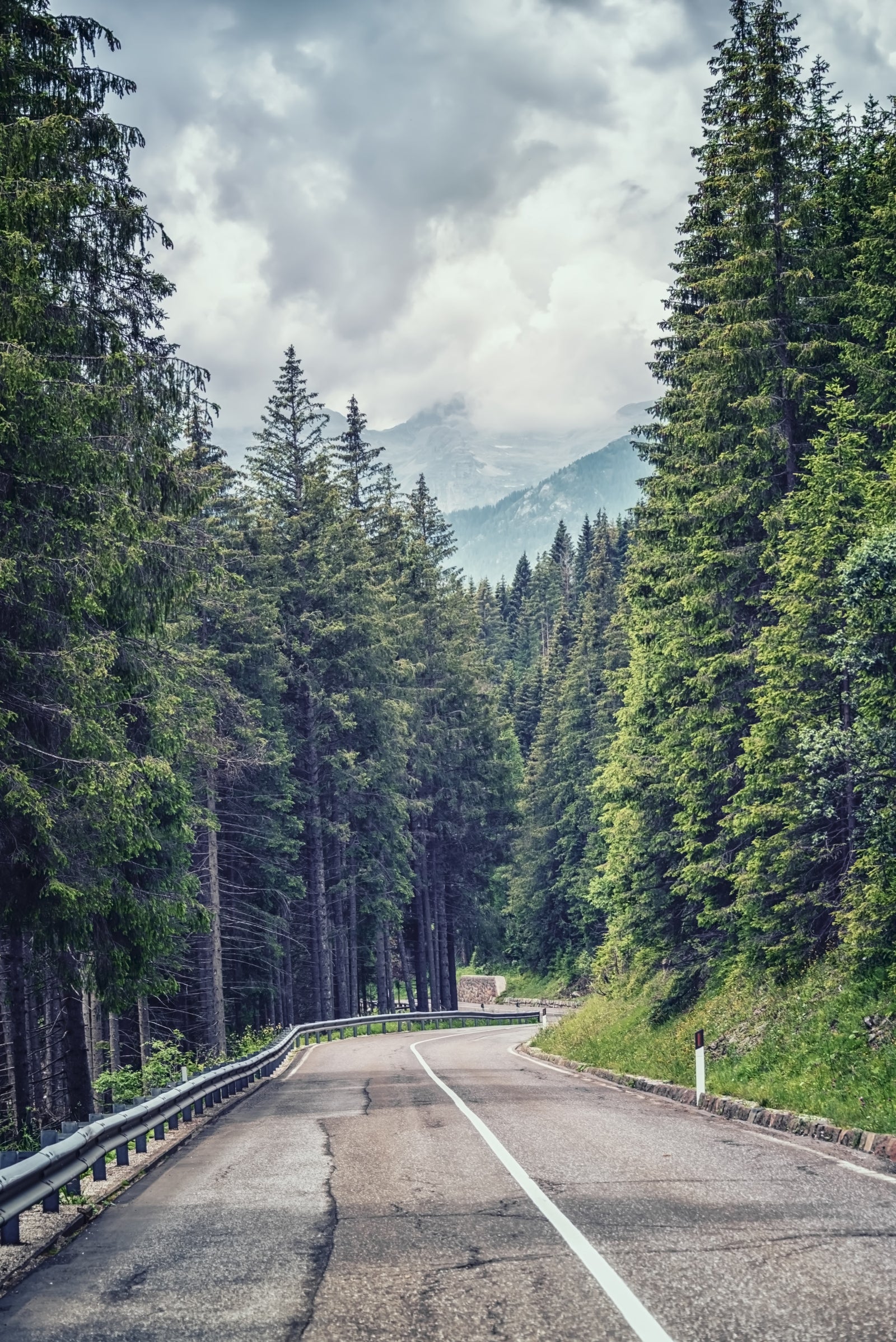 Mountain Road Vista Wall Mural in your room