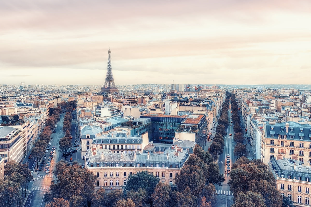 Eiffel Tower View Wall Mural in your room