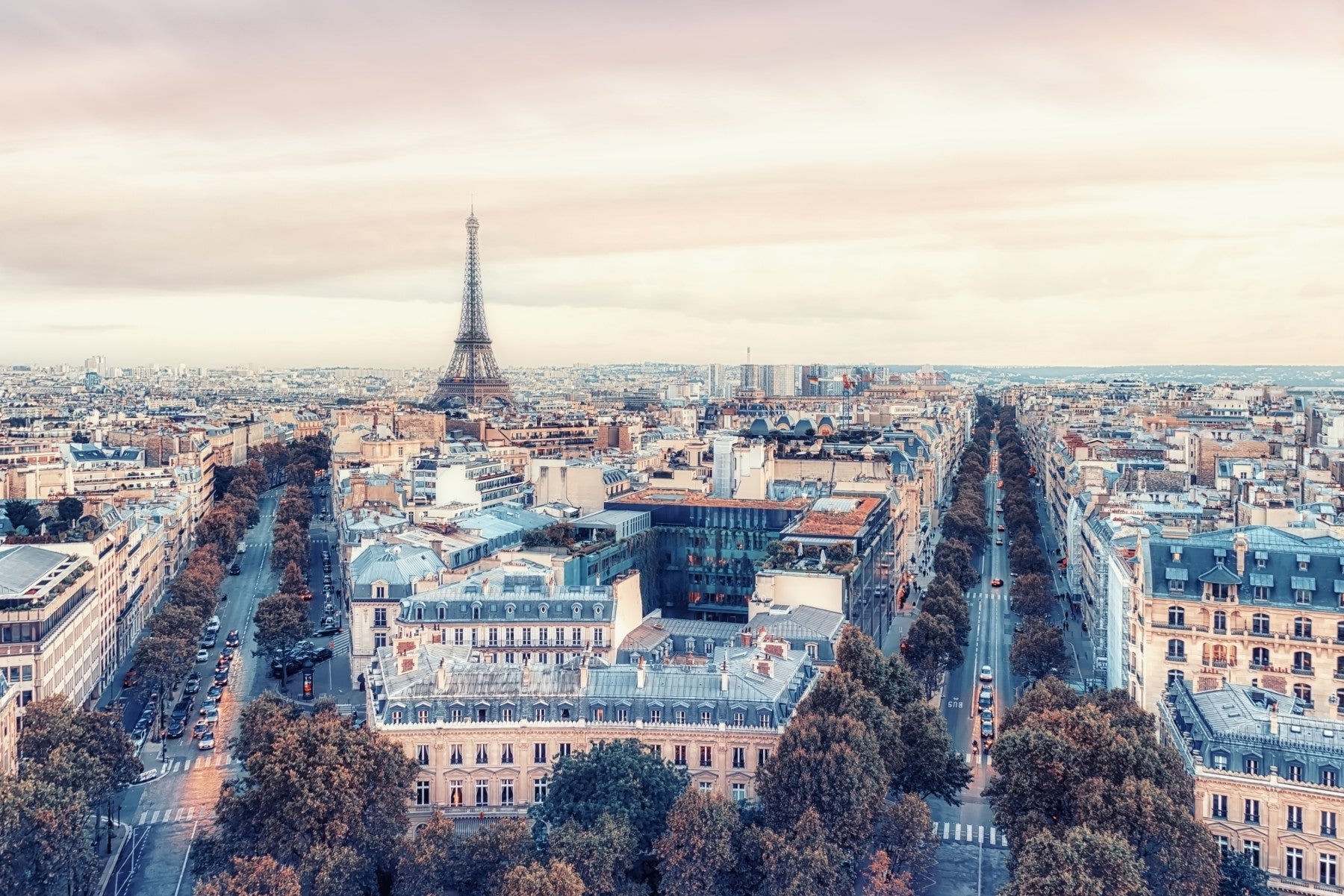 Eiffel Tower View Wall Mural
