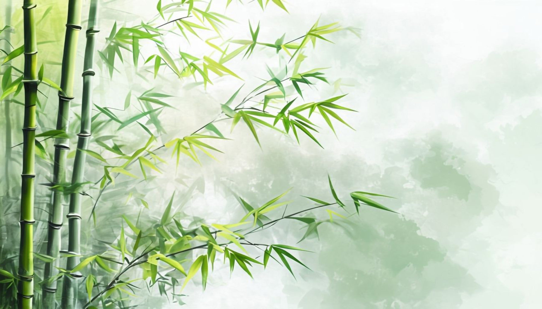 Tranquil Bamboo Wall Mural in your room — zoomed
