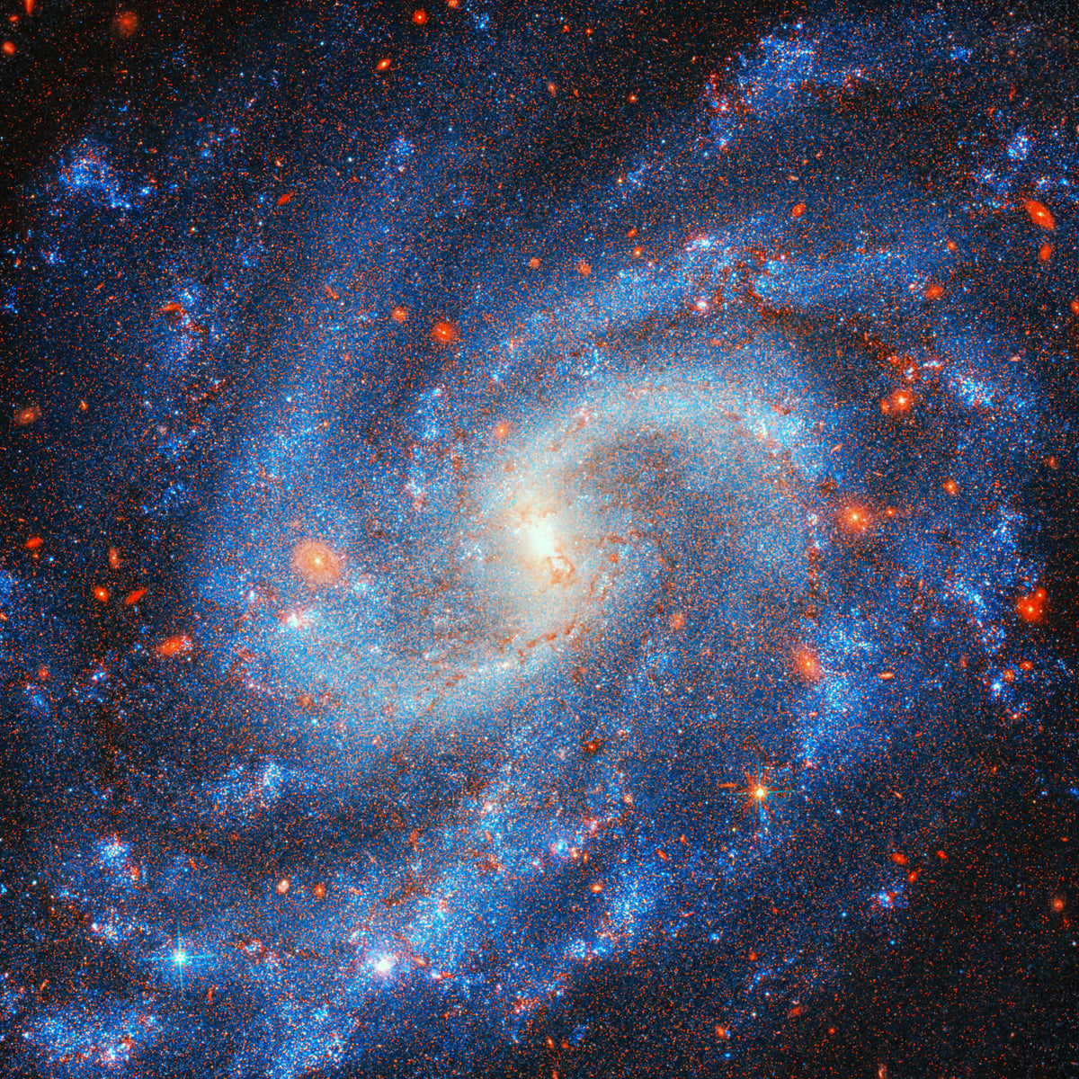 Distant Starfield Wall Mural
