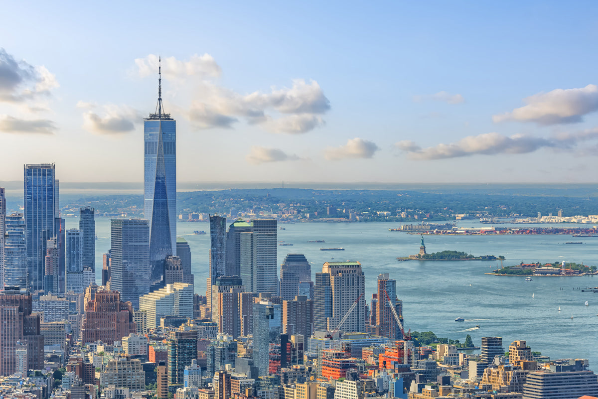 NYC Skyline Majesty Wall Mural in your room
