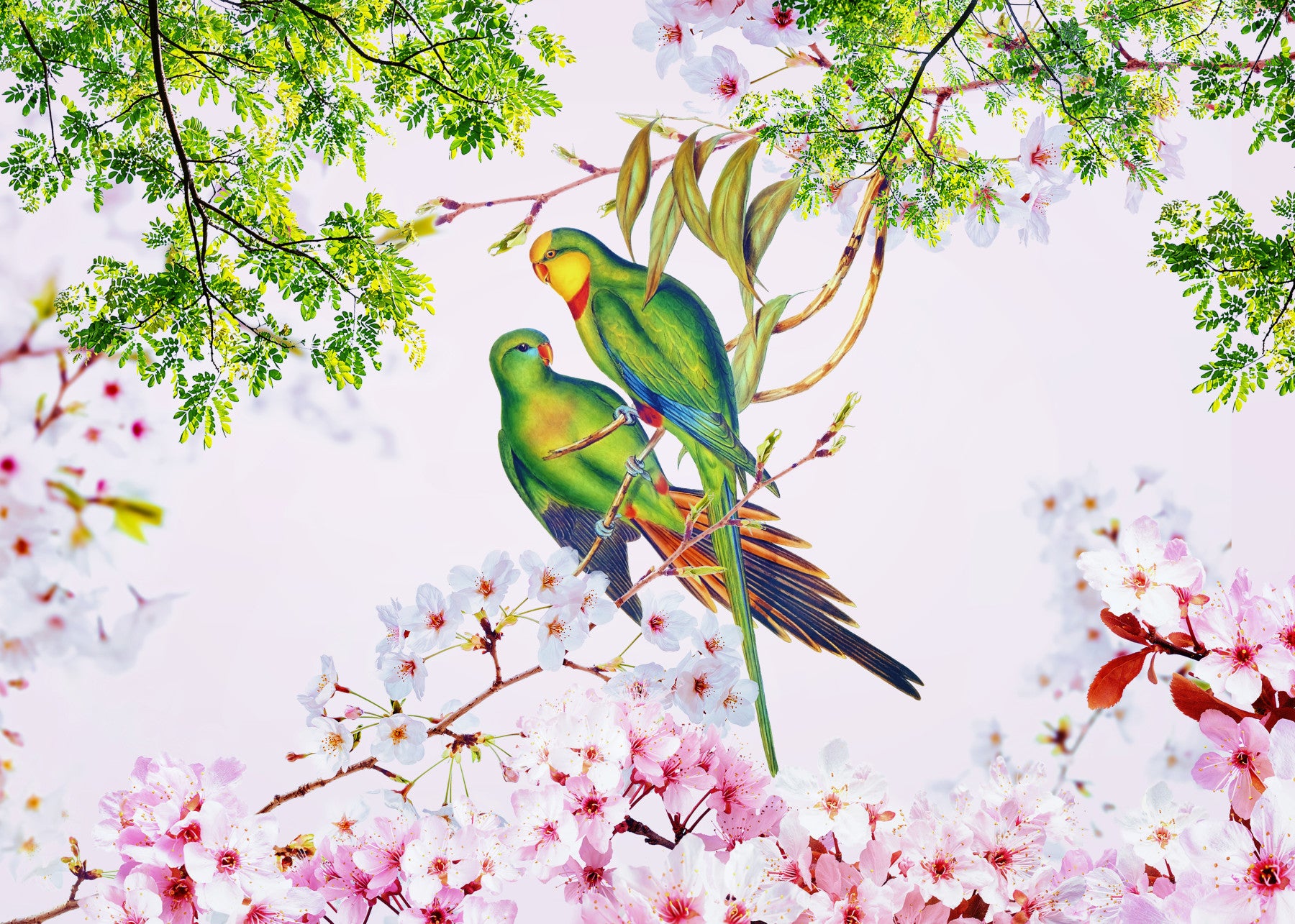 Cherry Blossom Parrots Wall Mural