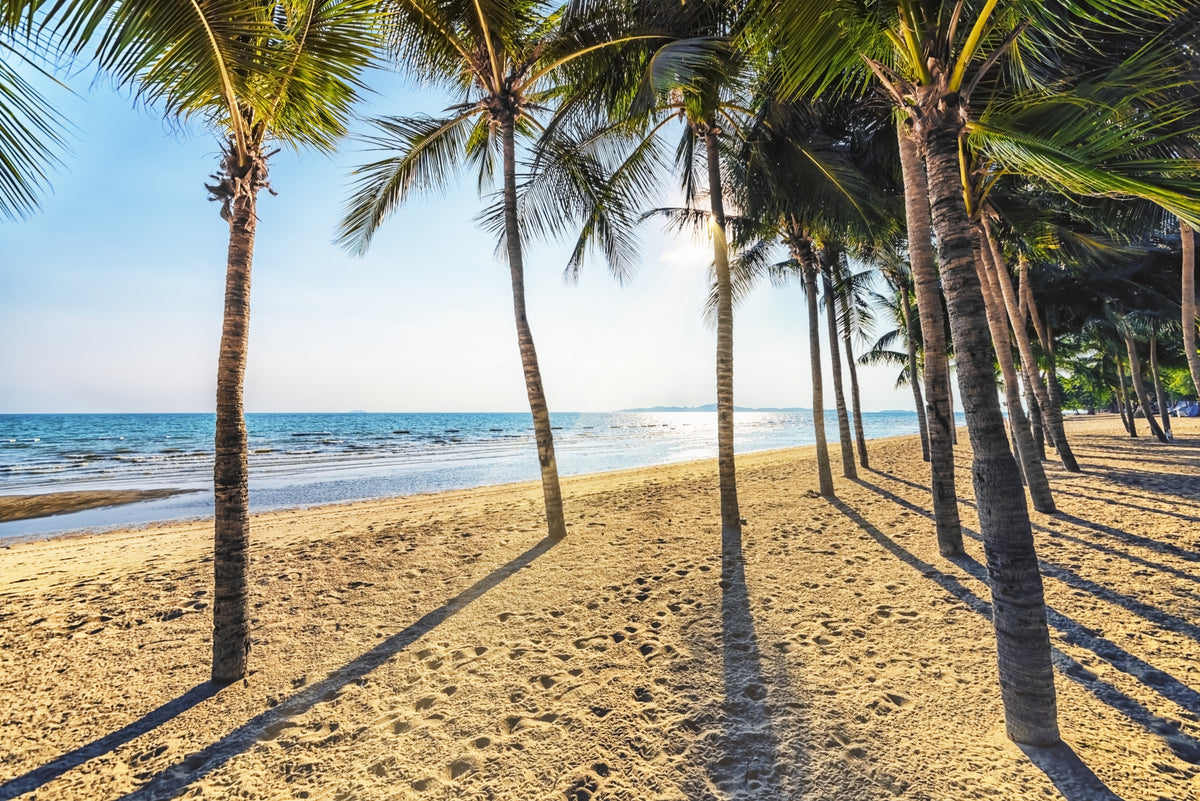 Golden Beach Palms Wall Mural in your room