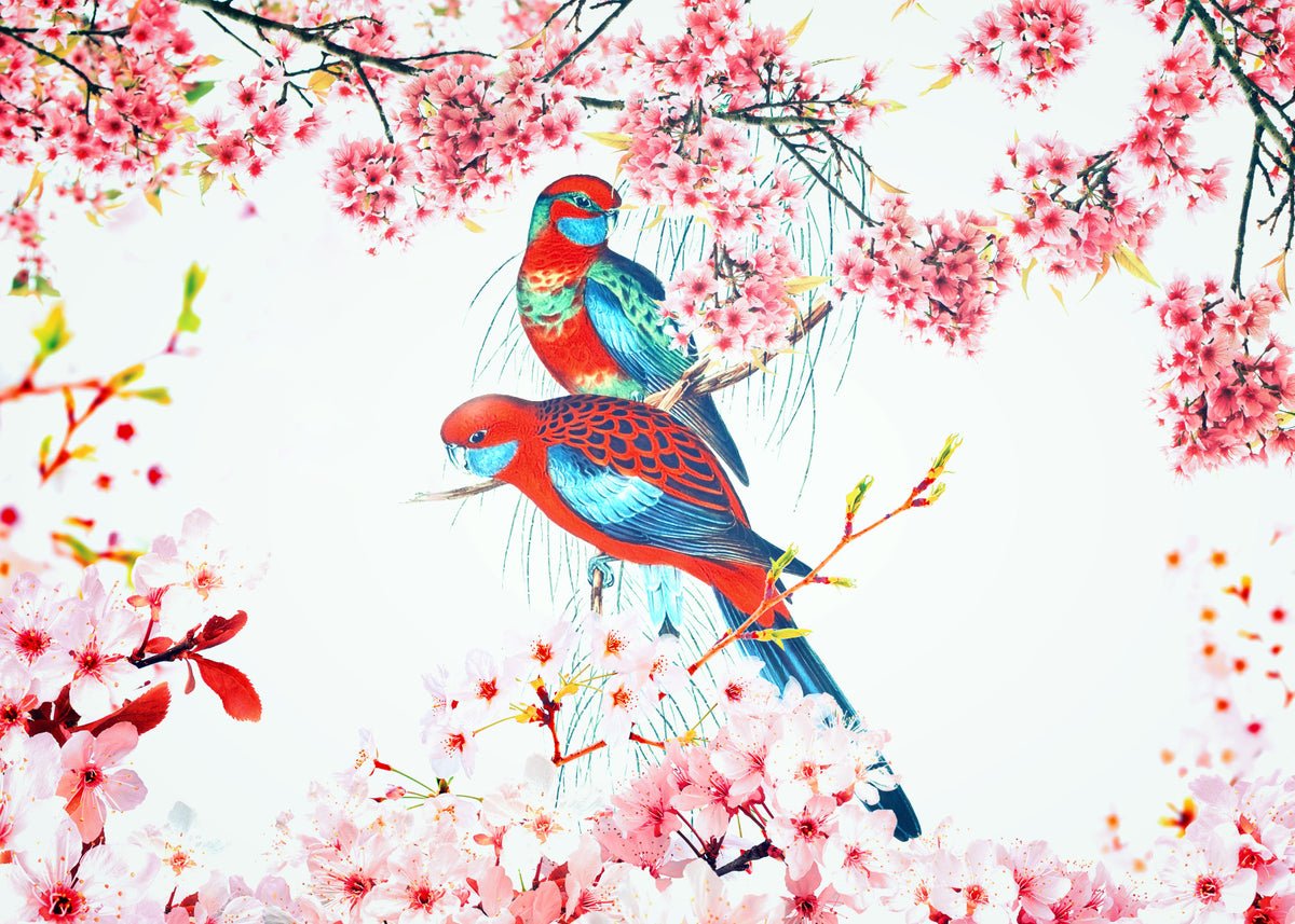 Blossom Birds Wall Mural in your room