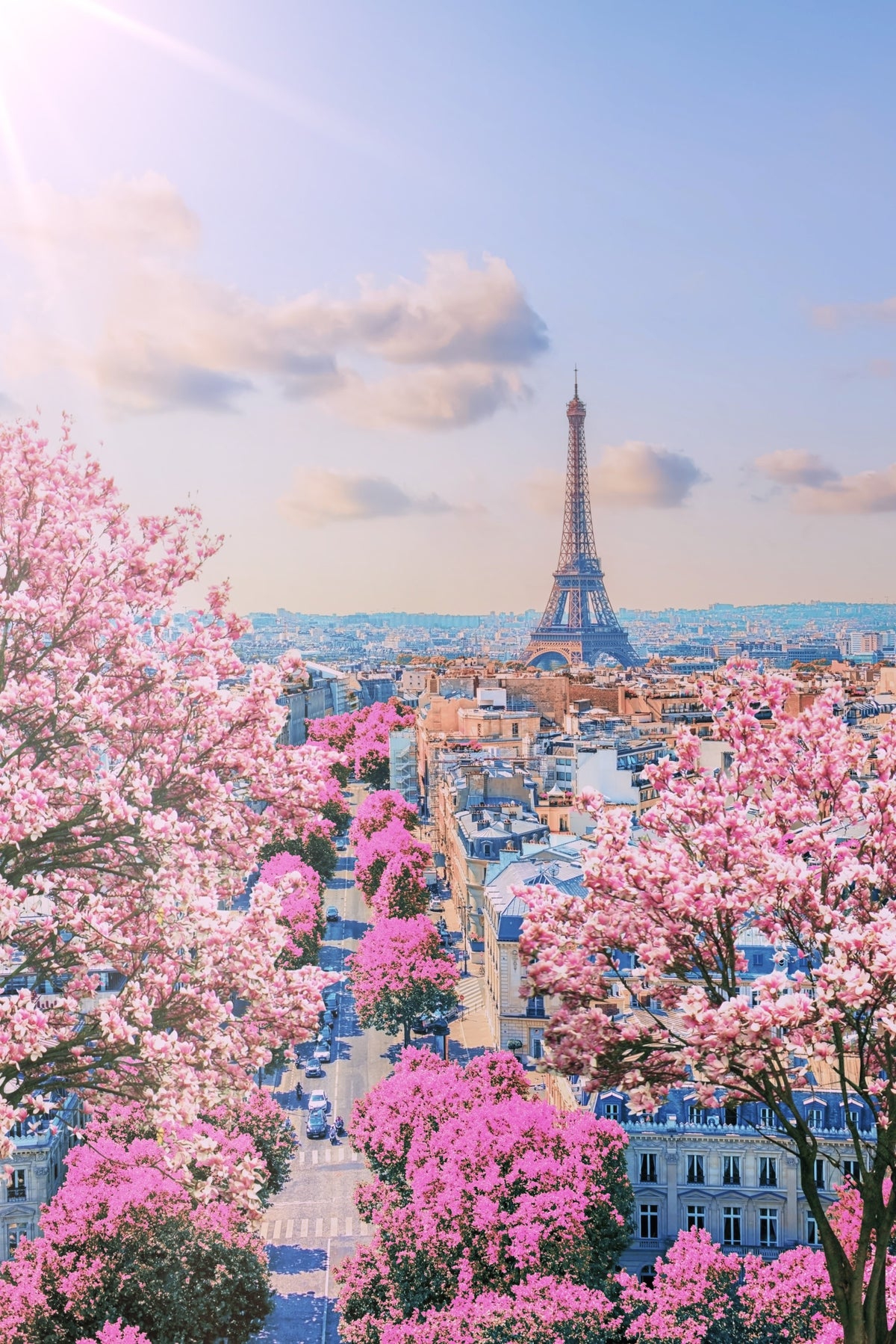 Parisian Spring Wall Mural in your room — zoomed