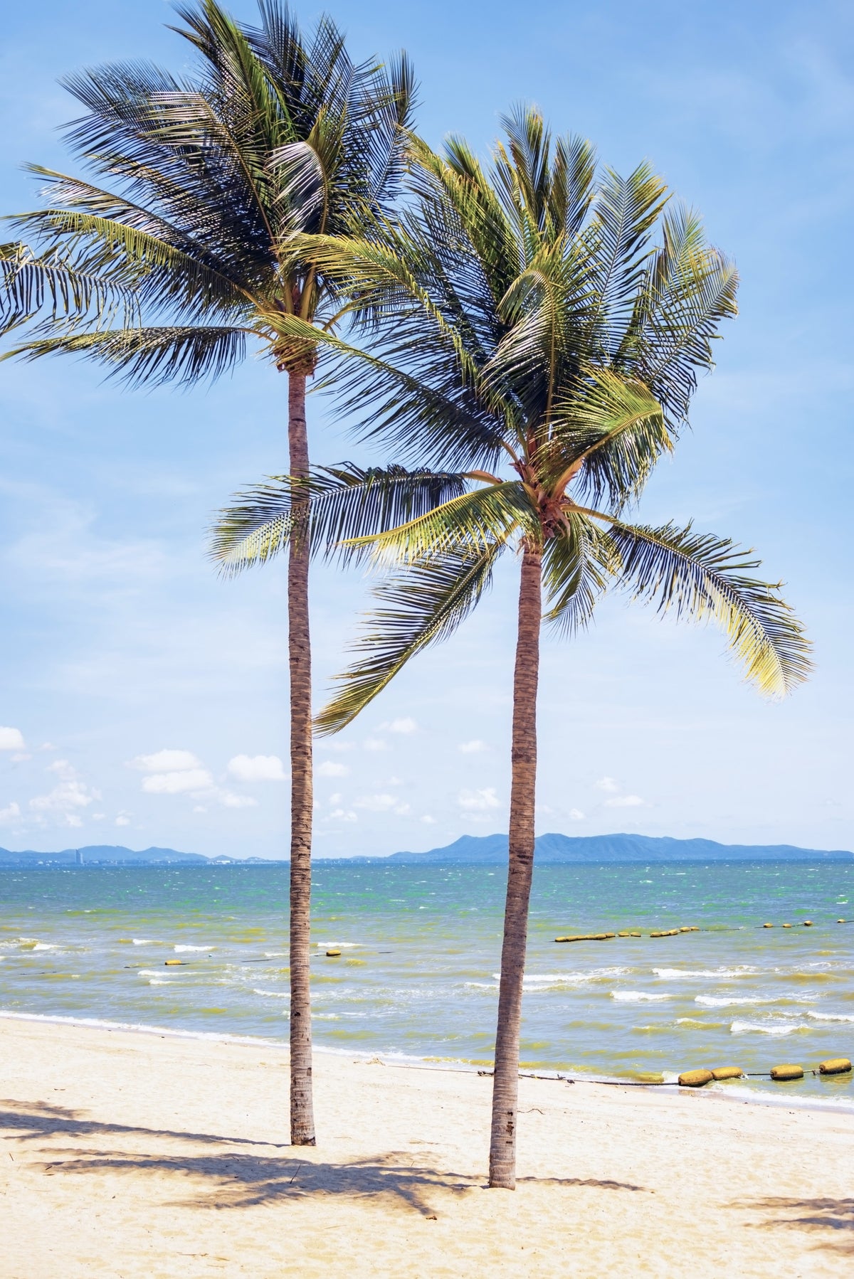 Beachfront Bliss Wall Mural in your room — zoomed