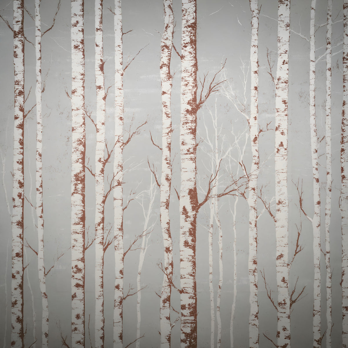 Winter Birch Beauty Wall Mural in your room