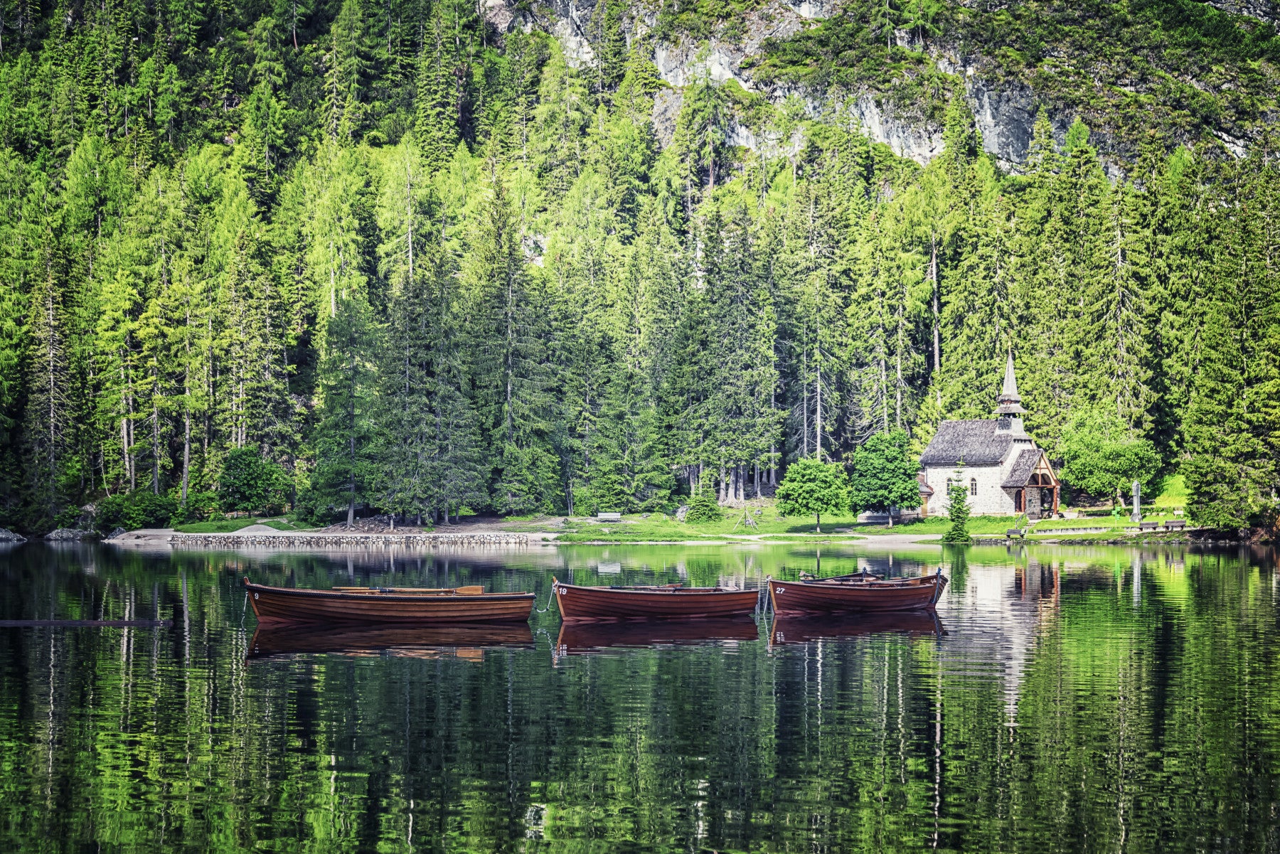 Forest Lake Retreat Wall Mural