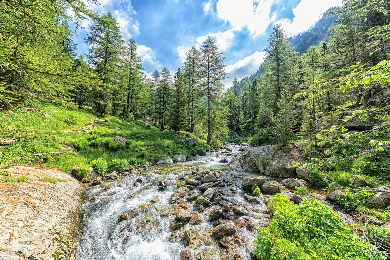 Alpine Stream Wall Mural