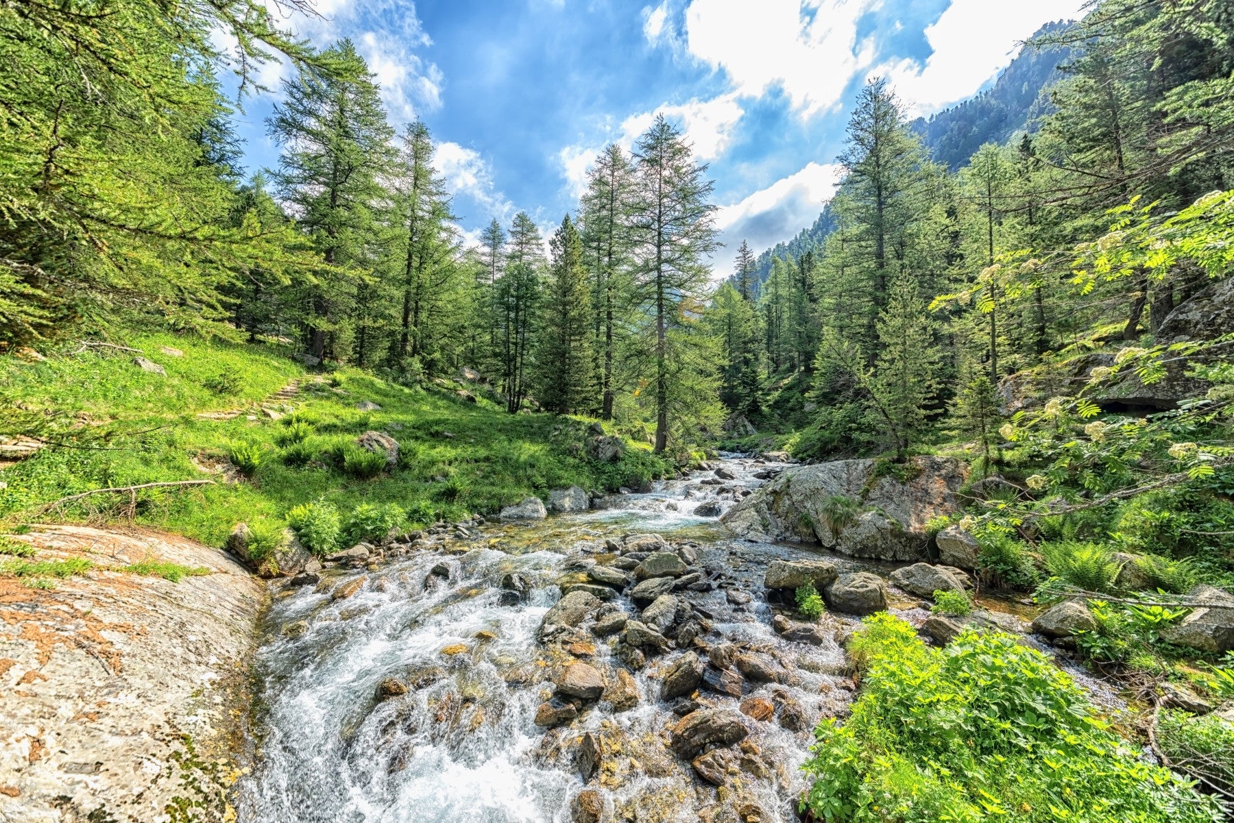 Alpine Stream Wall Mural in your room — zoomed