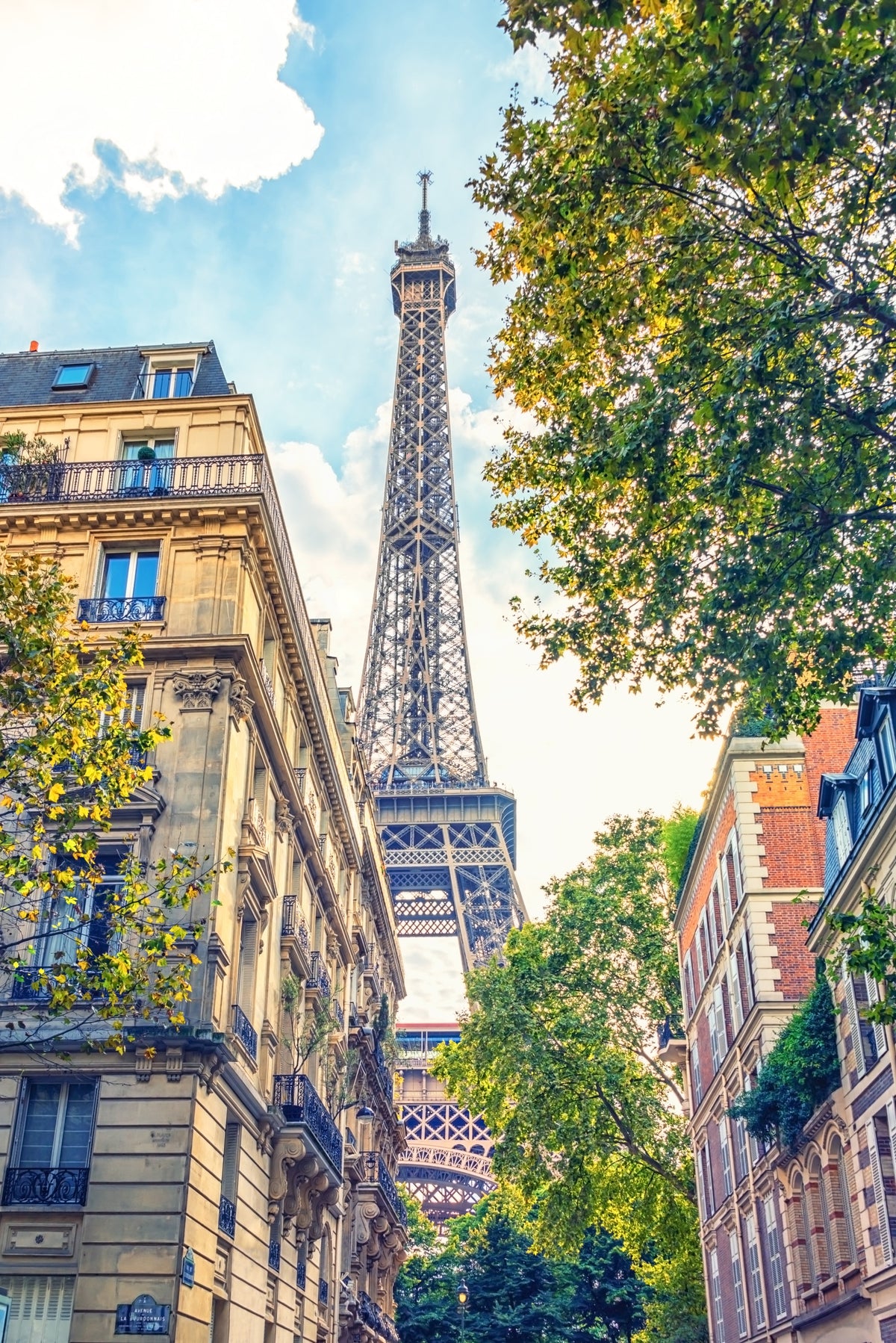 Eiffel Elegance Wall Mural in your room