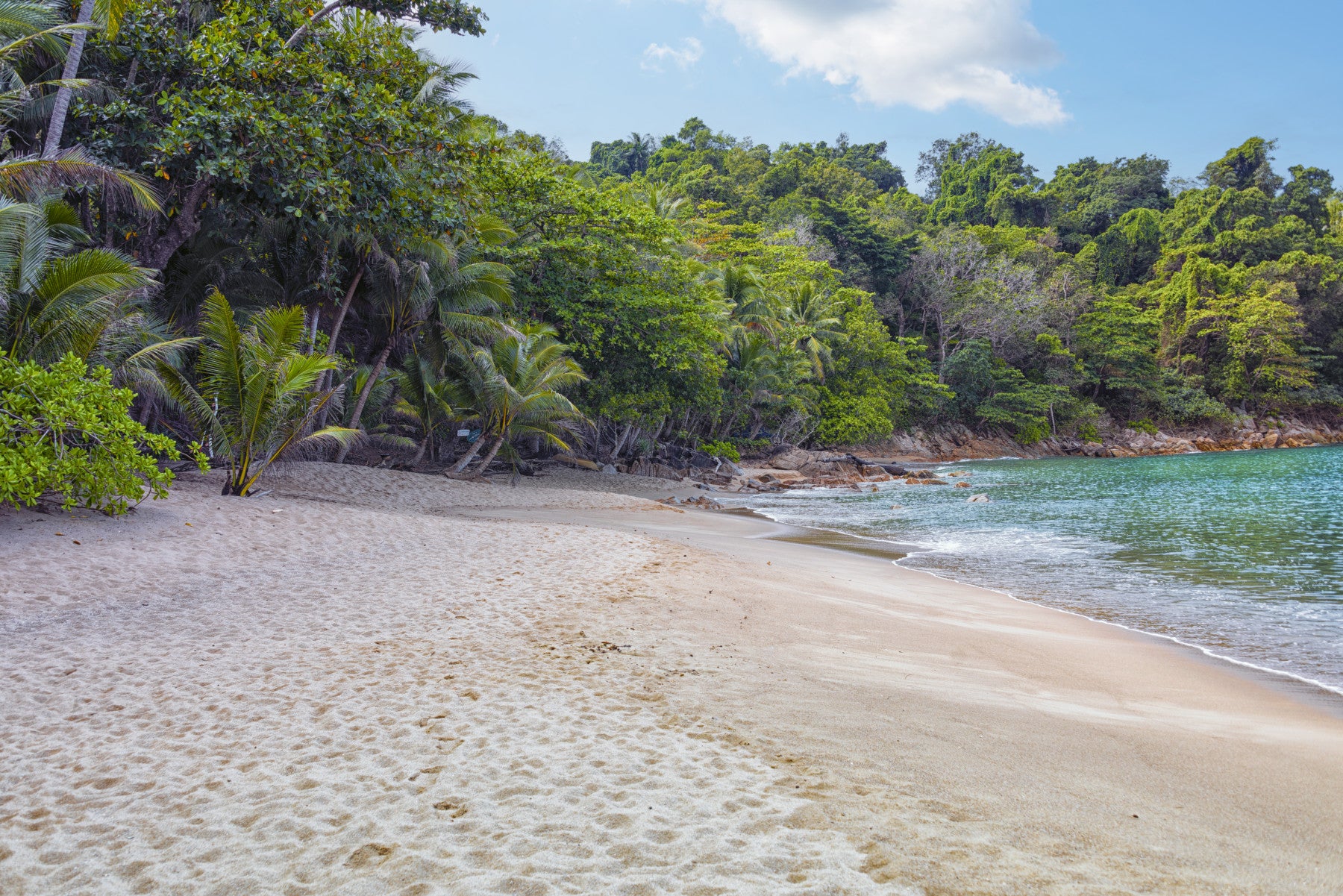 Tropical Beach Haven Wall Mural in your room — zoomed