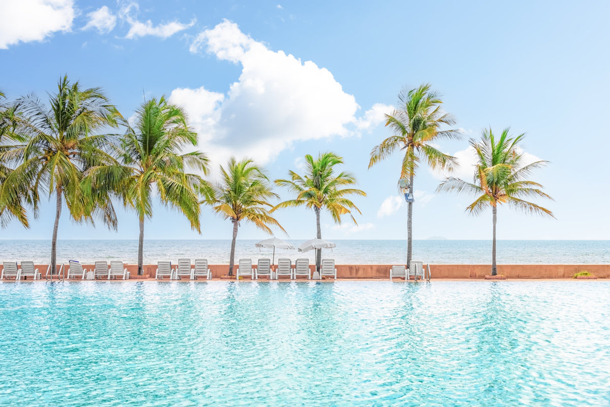 Palm Pool Escape Wall Mural in your room — zoomed