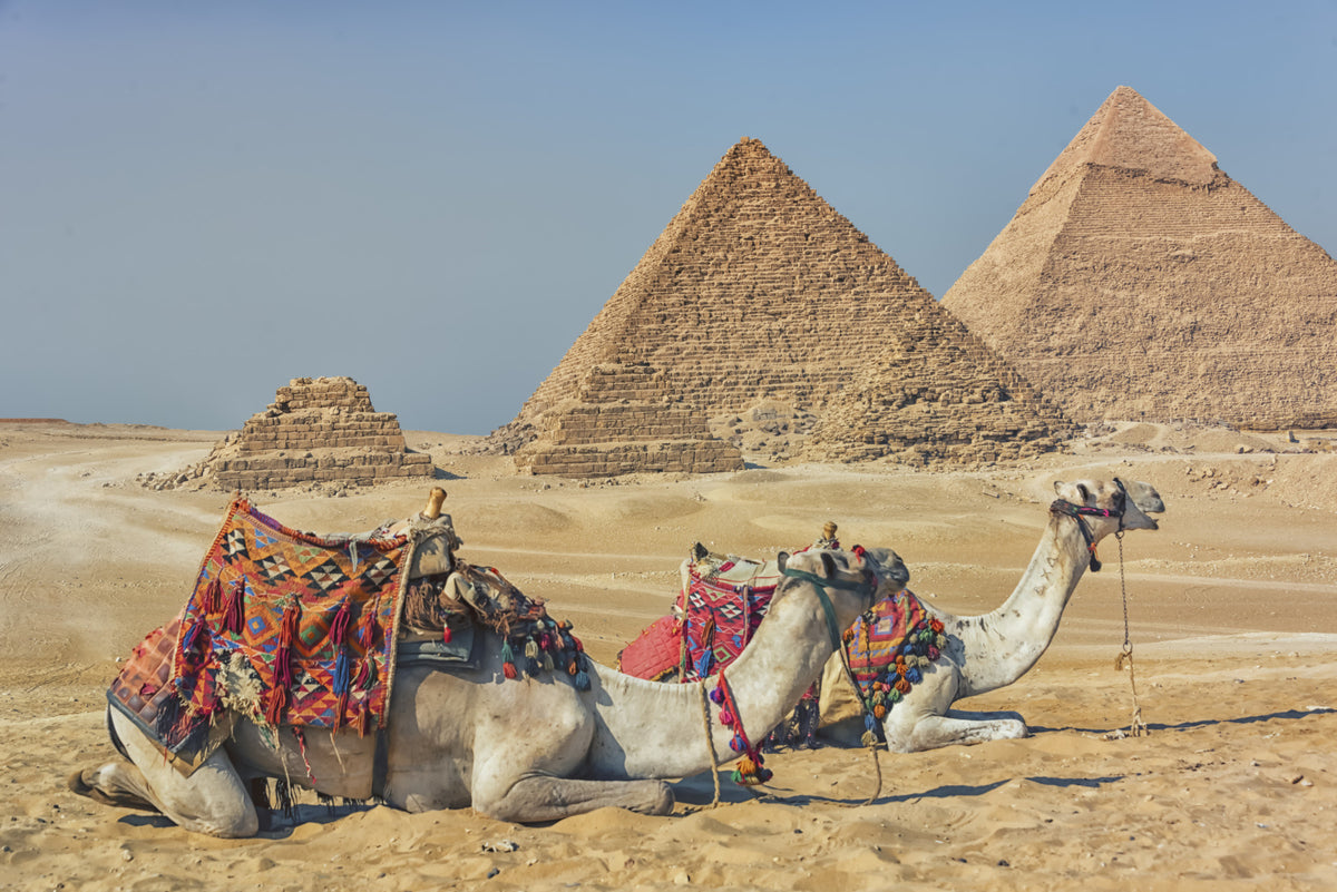 Giza Wall Mural in your room