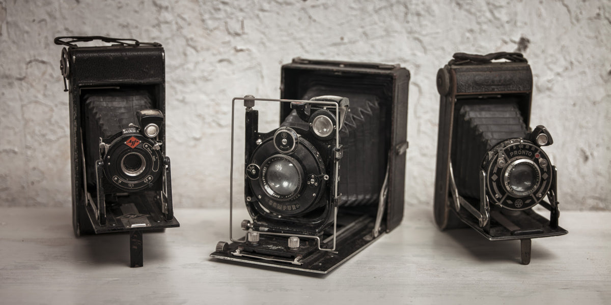 Vintage Camera Trio Wall Mural in your room