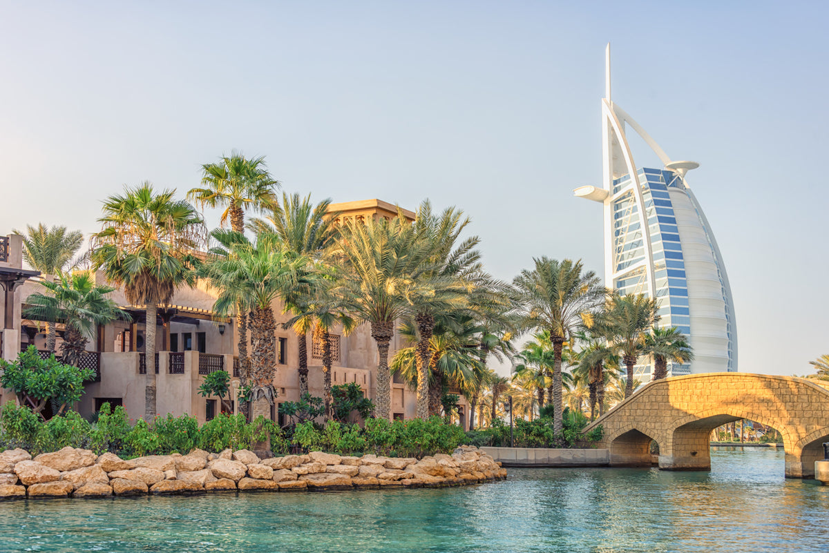 Dubai Oasis Wall Mural in your room — zoomed